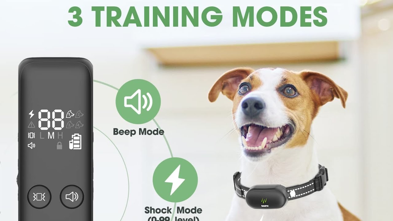 DeluPet Dog Training Collar